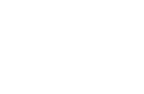 Morpho Press